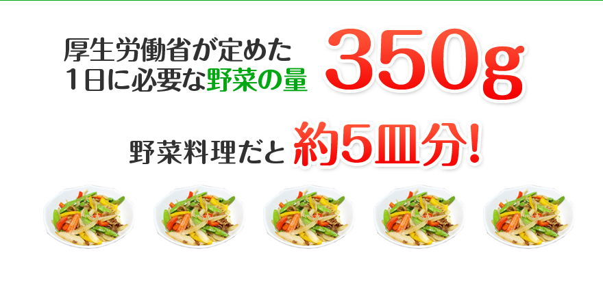 厚生労働省が定めた1日に必要な野菜の量350g 野菜料理だと約5皿分