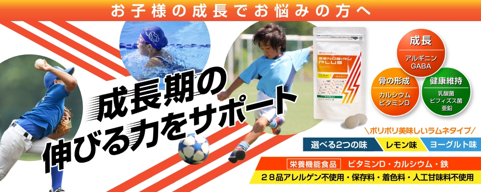 TOPページ-[SENOBIRU]