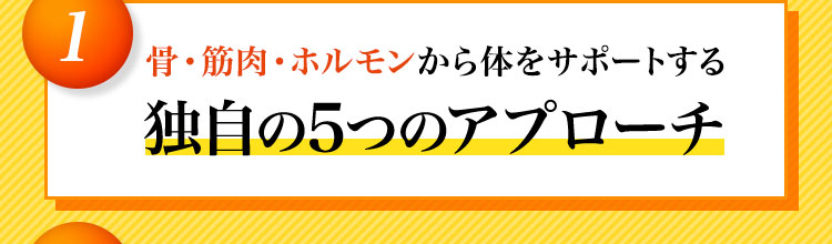 独自の5つのアプローチ