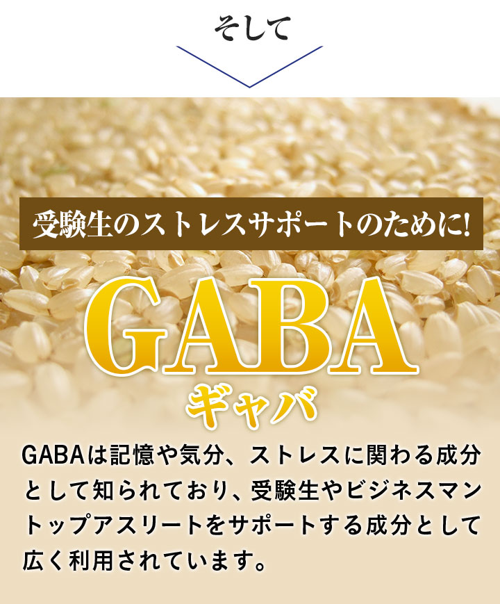 そして受験生のストレスサポートのために!GABAギャバ