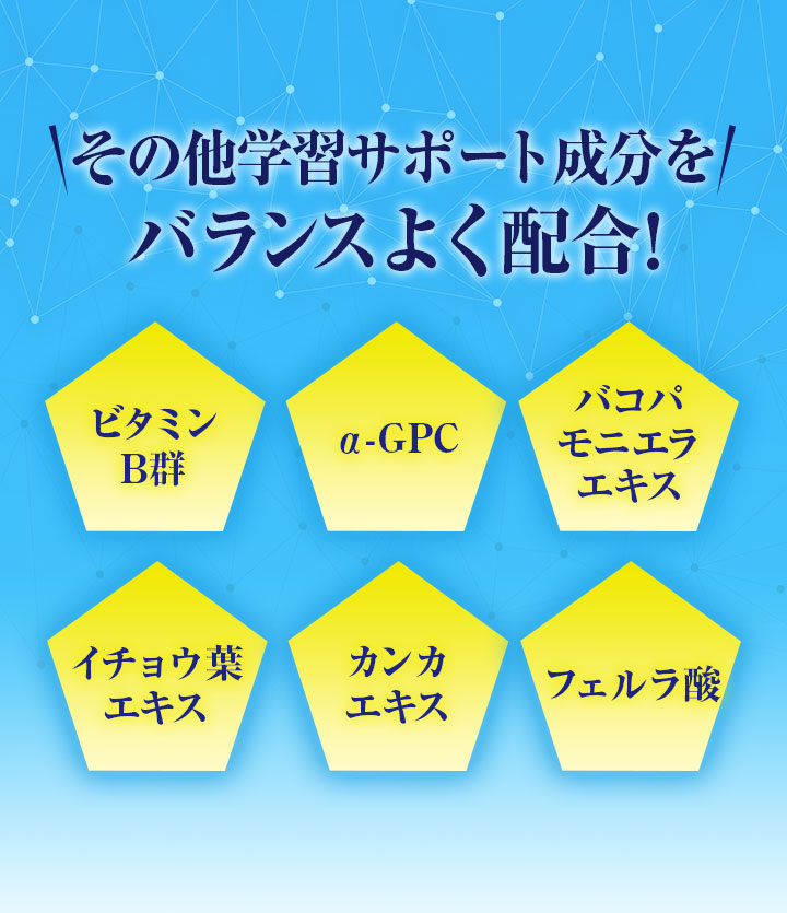 その他学習サポート成分をバランスよく配合!