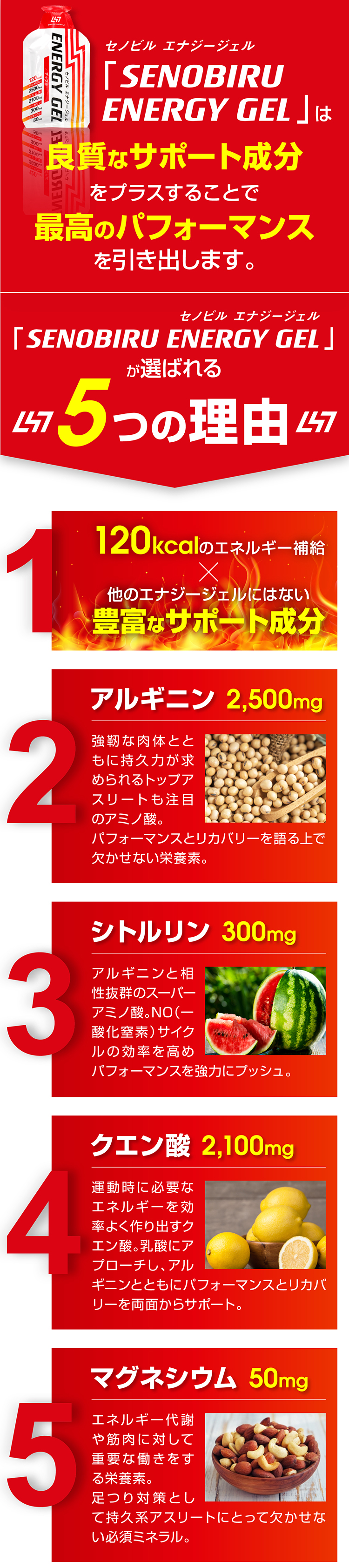 選ばれる5つの理由