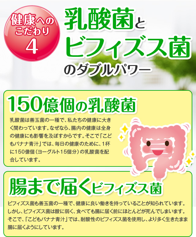 乳酸菌とビフィズス菌