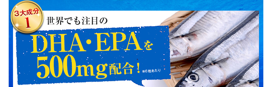3大成分1・世界でも注目のDHA・EPAを500mg配合!