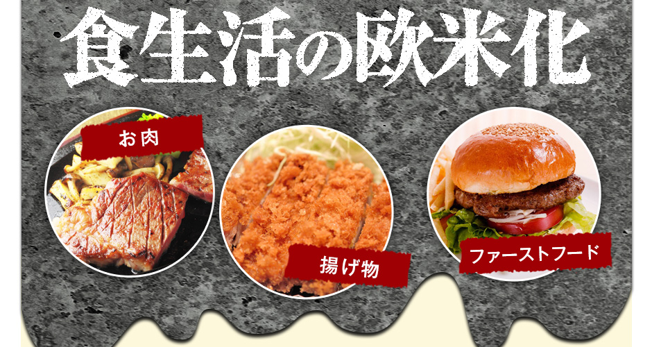 お肉・揚げ物・ファストフードなどの食生活の欧米化