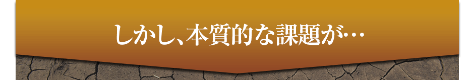 しかし、本質的な課題が・・・