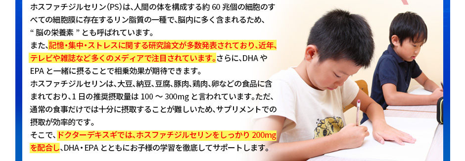 記憶・集中・ストレスに関する研究論文が多数発表されており、世界中で注目されている「ブレインフード」です。