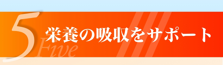 栄養の吸収をサポート