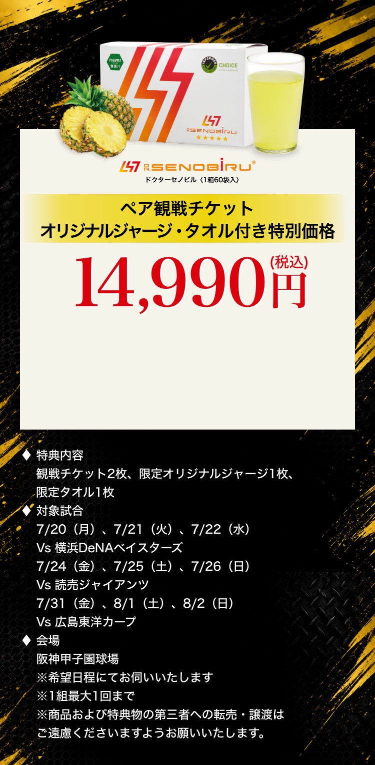 ペア観戦チケット