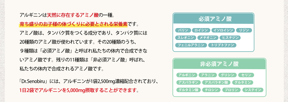 アルギニンは天然に存在するアミノ酸の一種。育ち盛りのお子様の体づくりに必要とされる栄養素です。アミノ酸は、タンパク質をつくる成分であり、タンパク質には20種類のアミノ酸が使われています。その20種類のうち、9種類は「必須アミノ酸」と呼ばれ私たちの体内で合成できないアミノ酸です。残りの11種類は「非必須アミノ酸」呼ばれ、私たちの体内で合成されるアミノ酸です。「Dr.Senobiru」には、アルギニンが1袋2,500mg濃縮配合されており、1日2袋でアルギニンを5,000mg摂取することができます。