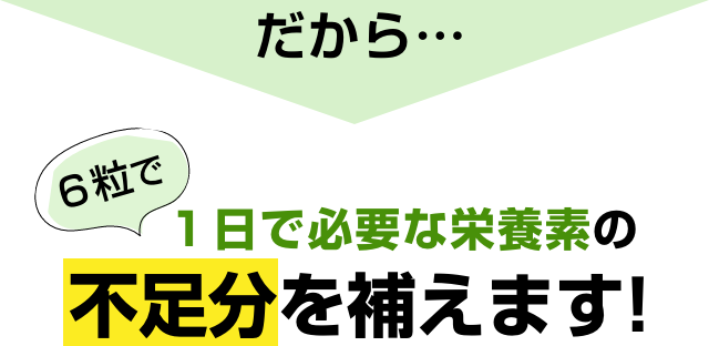 1日で必要な栄養素の不足分を補えます