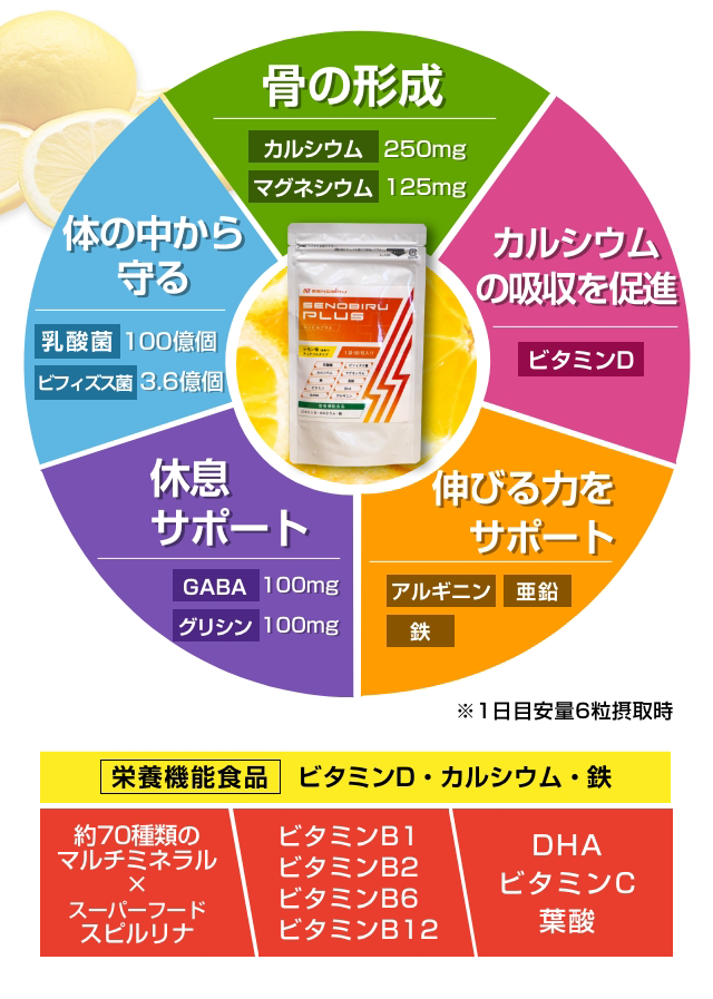 栄養素円グラフ