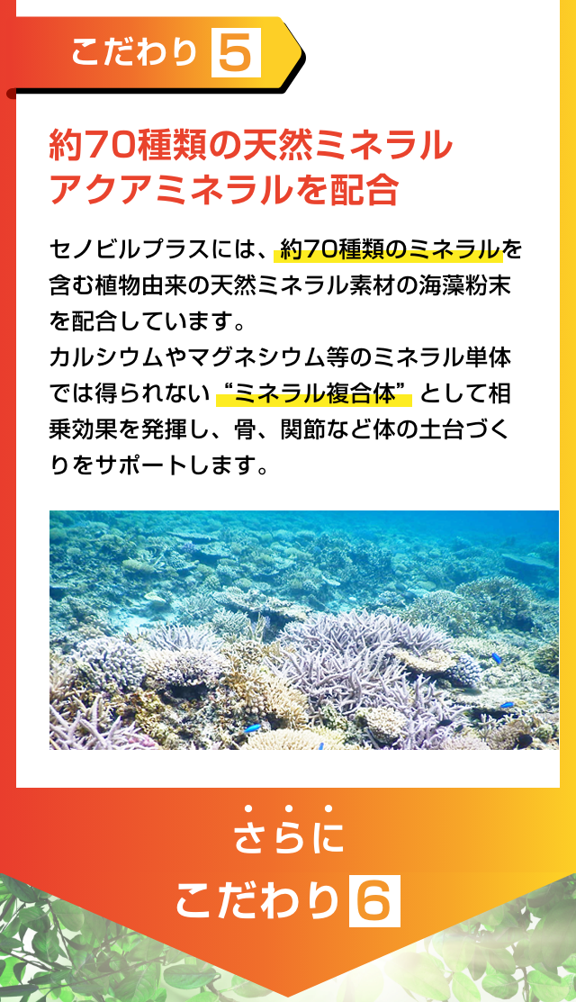 5つのこだわり